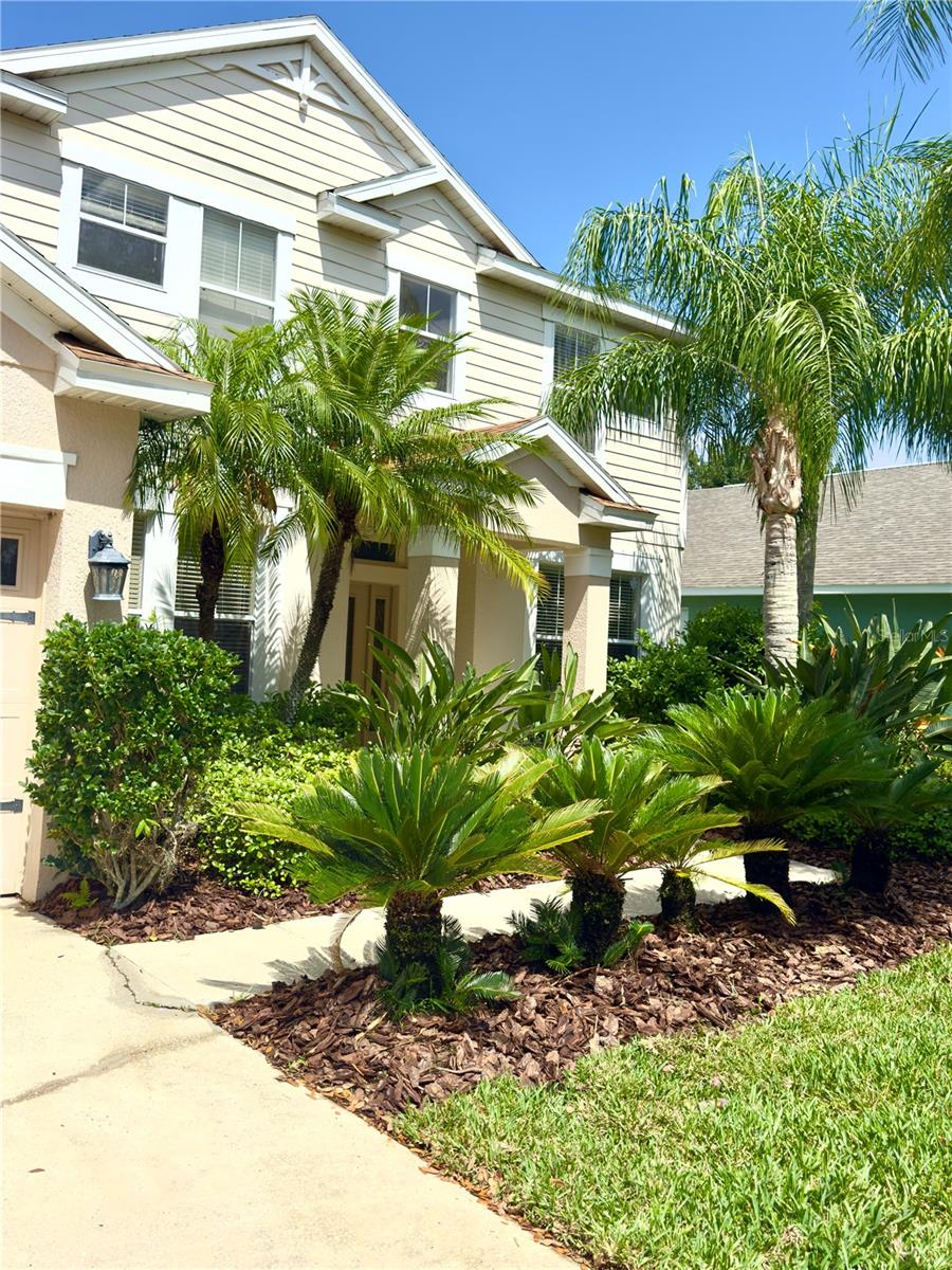 3341 PAWLEYS LOOP N
