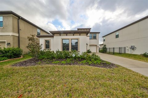 A home in LITHIA