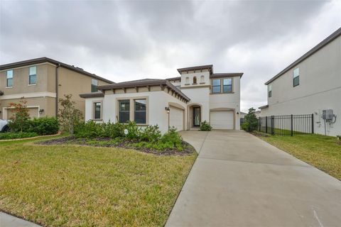 A home in LITHIA