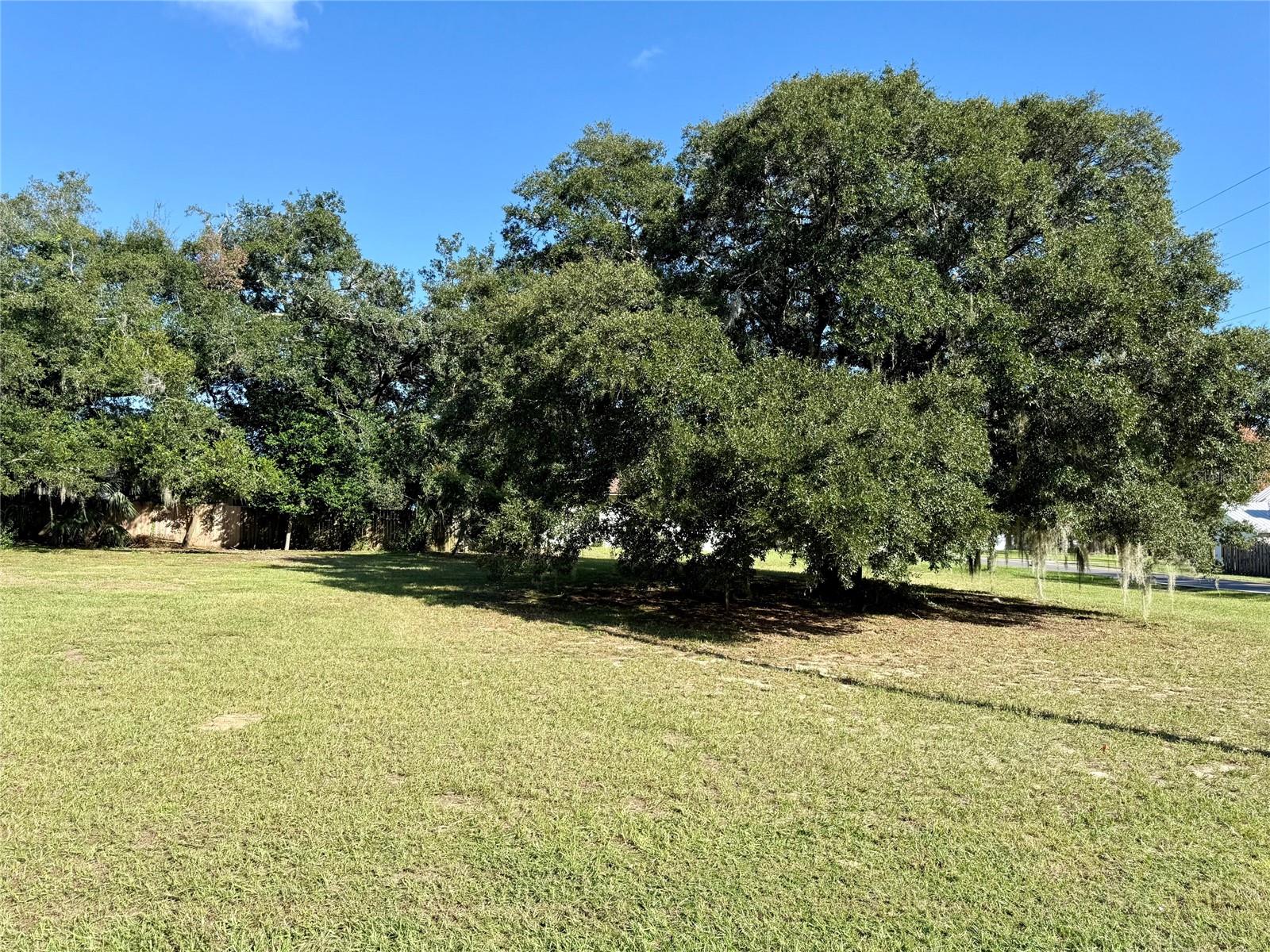 WAYCROSS AVENUE