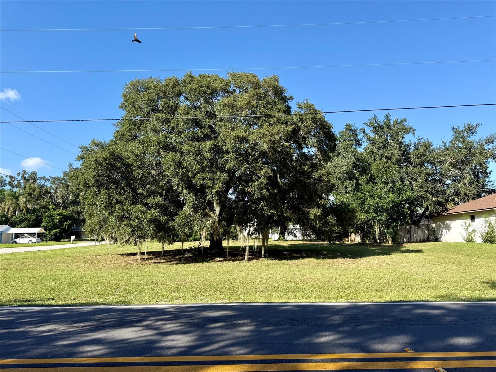 WAYCROSS AVENUE
