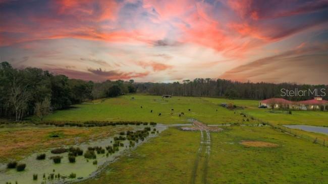 Ready to build your custom dream home or simply tend to your animals or vegetation in the most peaceful part of Central Florida? Then welcome to Groveland! This gorgeous property offers all those opportunities and more. Of the 9.72 acres, 8.27 is high and dry. All of it is fenced and there is a well on the property along with a barn for your storage needs. Power is available along the publicly maintained road and there is no HOA. This property is close enough to town for all your shopping and entertainment needs but also far enough away to experience true serenity. Schedule your showing today!