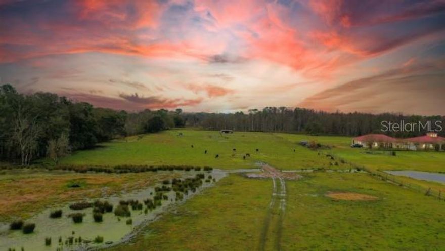 Ready to build your custom dream home or simply tend to your animals or vegetation in the most peaceful part of Central Florida? Then welcome to Groveland! This gorgeous property offers all those opportunities and more. Of the 9.72 acres, 8.27 is high and dry. All of it is fenced and there is a well on the property along with a barn for your storage needs. Power is available along the publicly maintained road and there is no HOA. This property is close enough to town for all your shopping and entertainment needs but also far enough away to experience true serenity. Schedule your showing today!