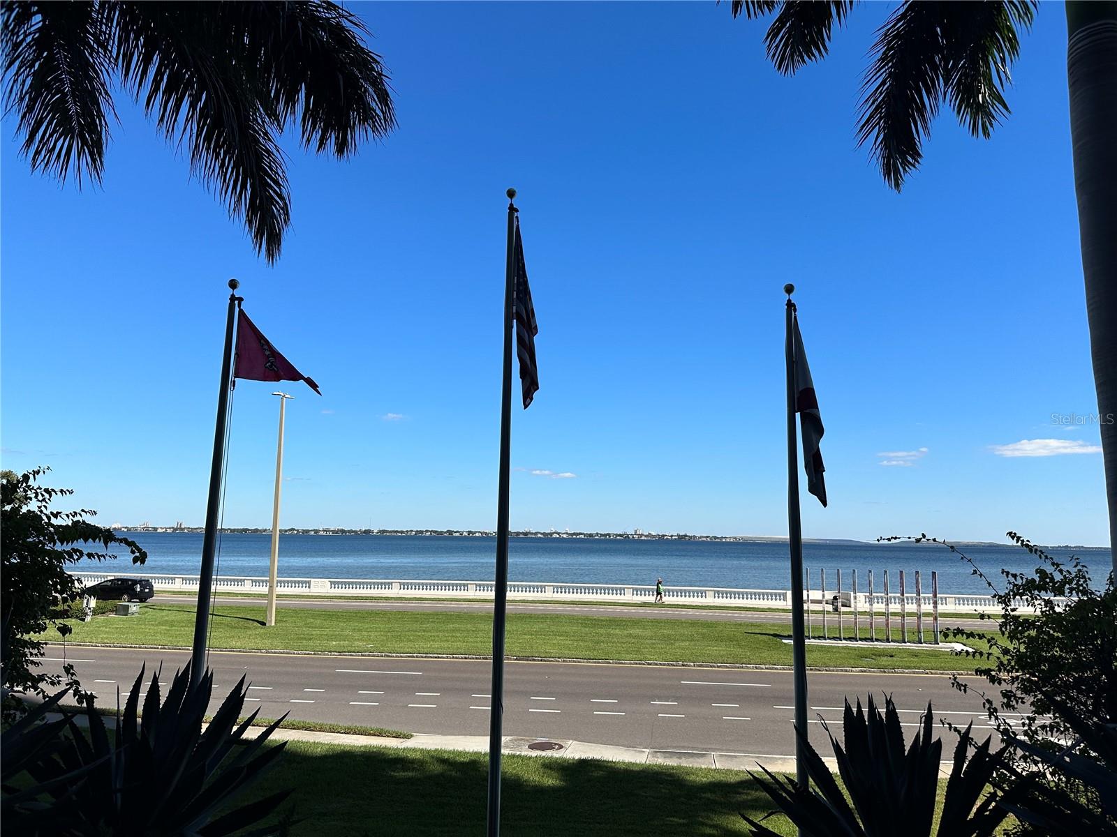 3301 BAYSHORE BOULEVARD 503