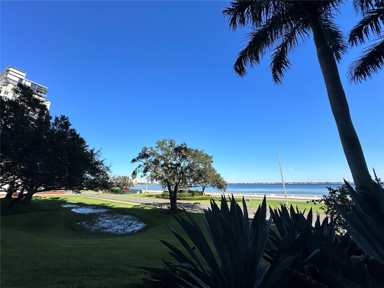 3301 BAYSHORE BOULEVARD 503
