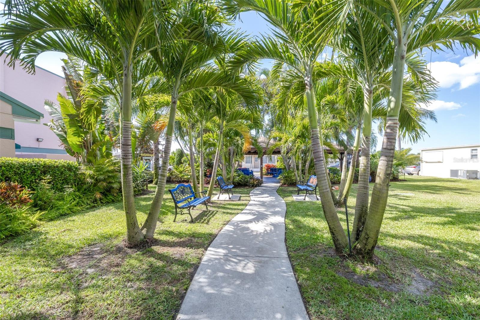 BRADENTON TROPICAL PALMS CO-OP - Residential
