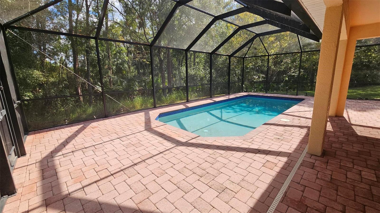 BUCKINGHAM AT TAMPA PALMS - Residential Lease