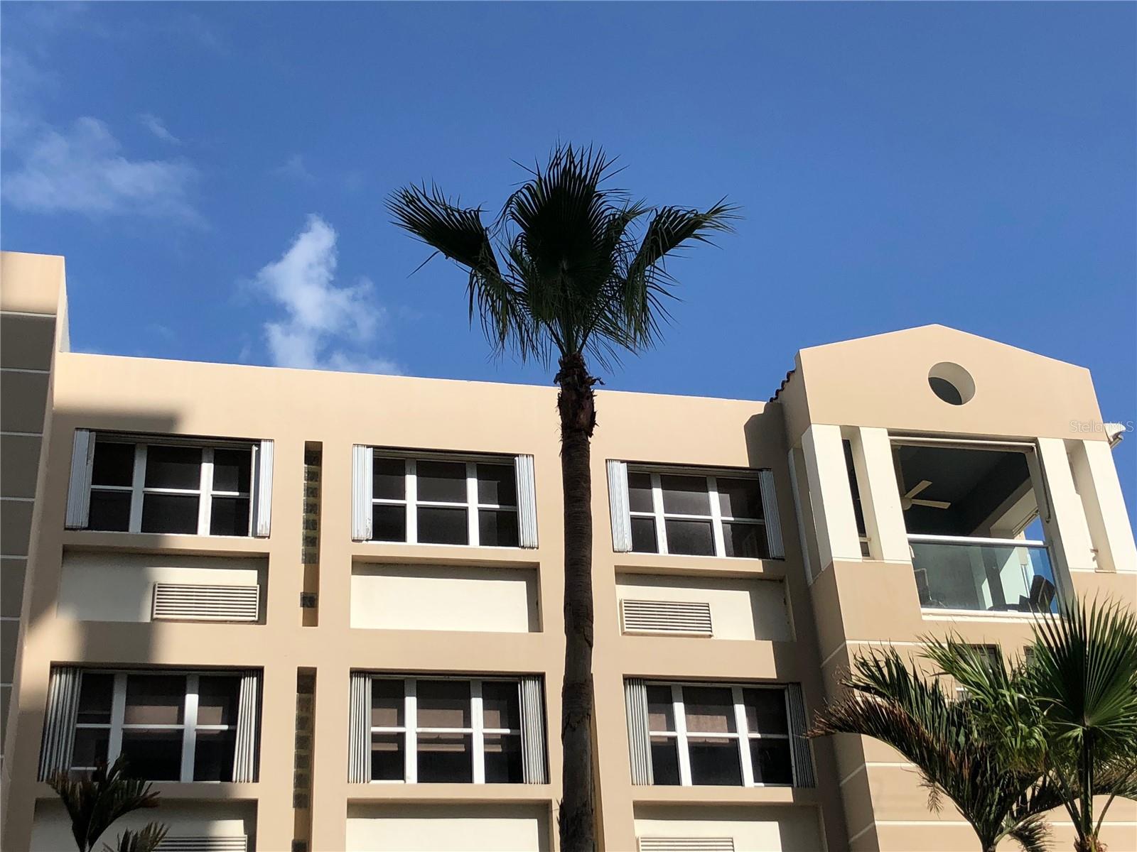 CARRION COURT V - Residential Lease