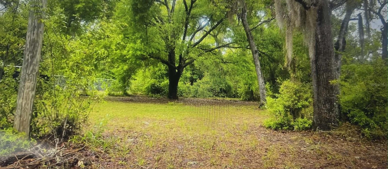 FLORIDA NATURIST PARK - Land