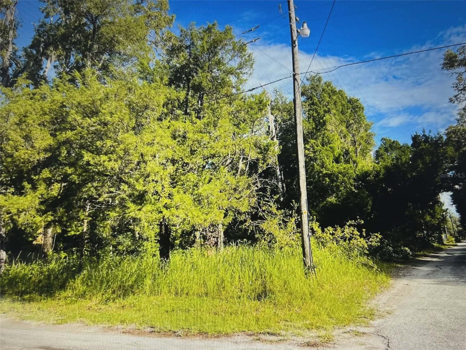 FLORIDA NATURIST PARK - Land