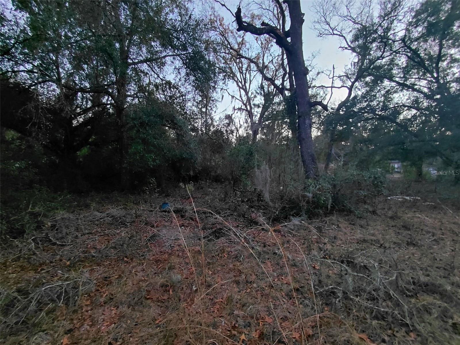 FLORIDA NATURIST PARK - Land