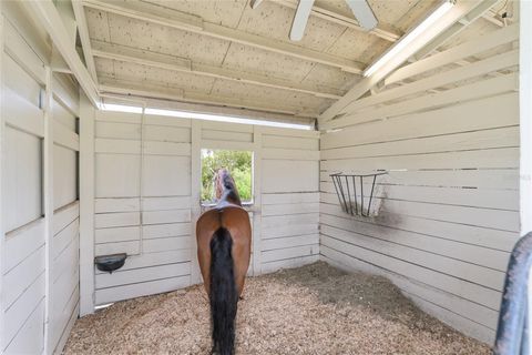 Tiny photo for 10740 Old Grove Road, Clermont, FL 34711 (MLS # OM703491)
