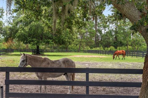 Tiny photo for 10740 Old Grove Road, Clermont, FL 34711 (MLS # OM703491)