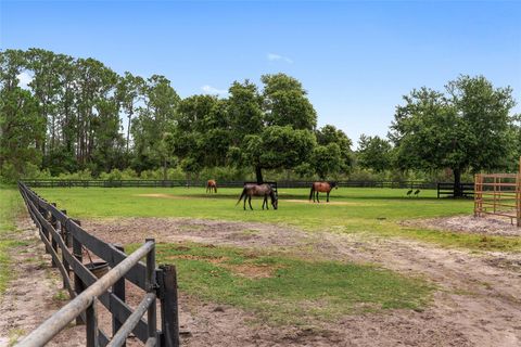 Tiny photo for 10740 Old Grove Road, Clermont, FL 34711 (MLS # OM703491)