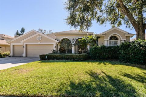 A home in PALM HARBOR