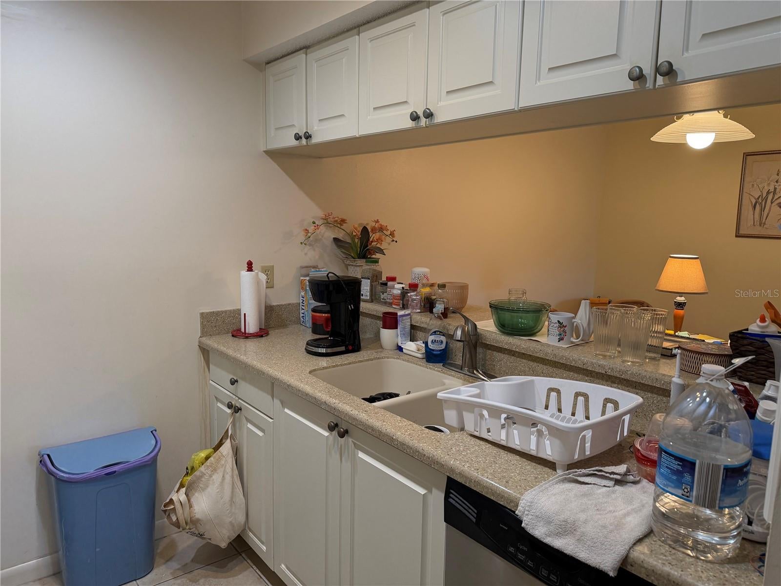626 BIRD BAY DRIVE S 101