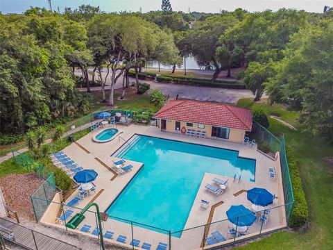 A home in PALM HARBOR