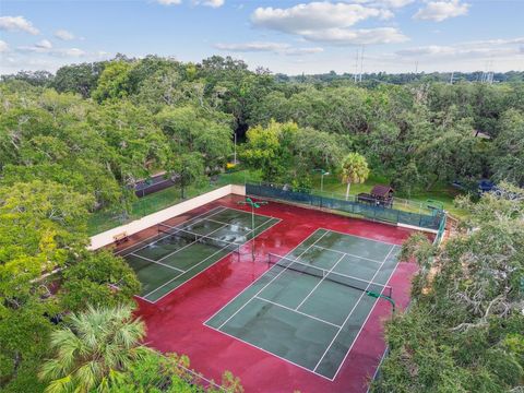 A home in PALM HARBOR