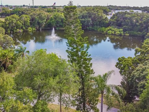 A home in PALM HARBOR