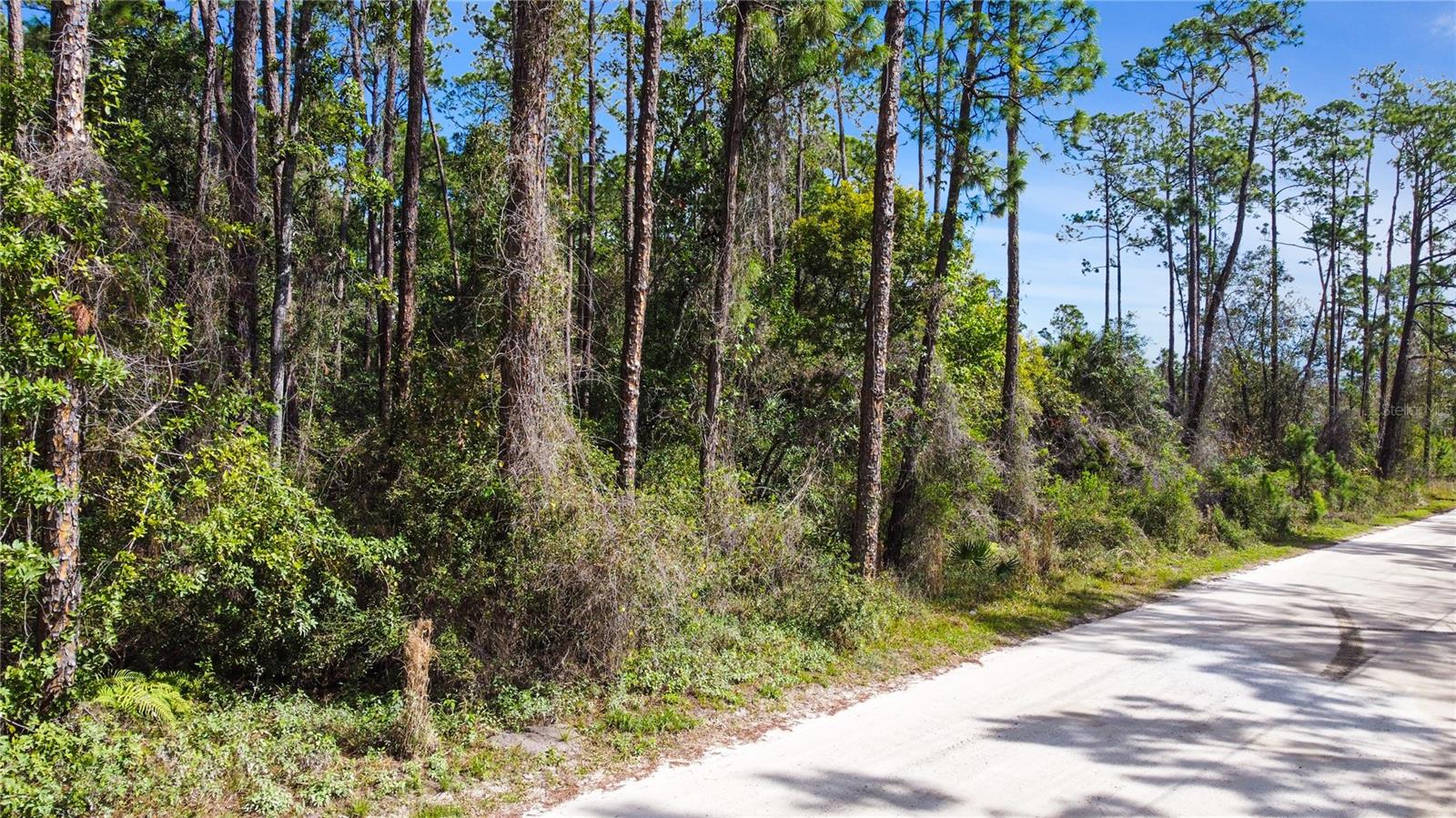QUAIL RANCH ROAD