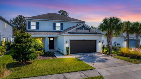 5935 MAIDENSTONE WAY PALMETTO FL 34221
