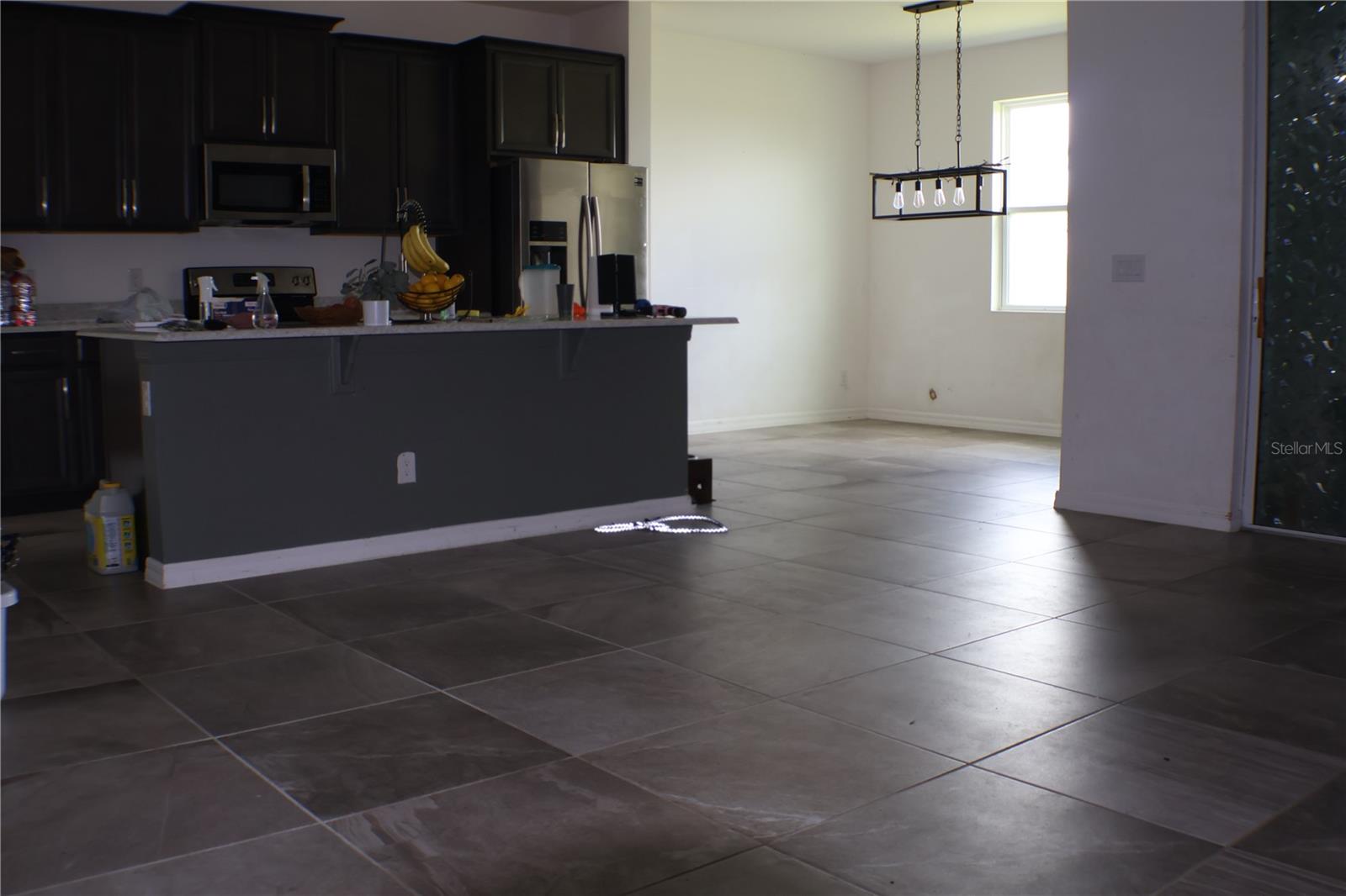 453 IRONSIDE TRAIL DRIVE