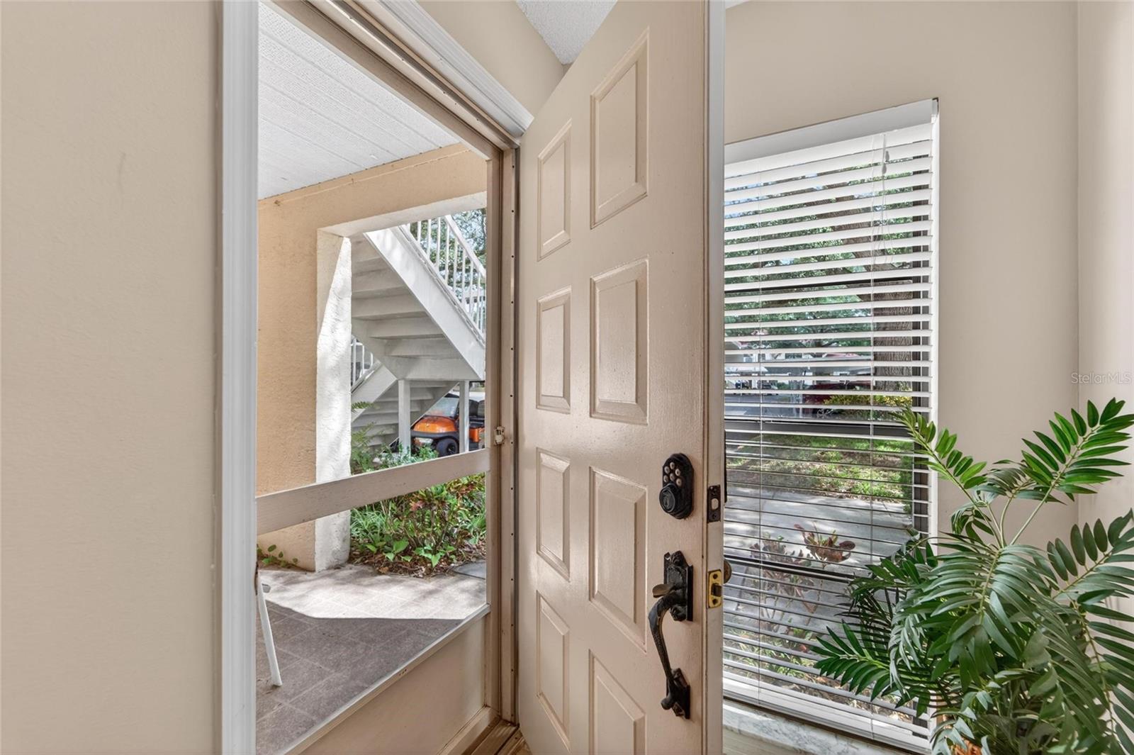 319 KNOTTWOOD COURT 2