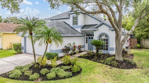 9806 BENNINGTON DRIVE TAMPA FL 33626