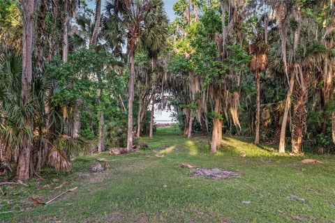 Tiny photo for 20361 1st Street, Mc Intosh, FL 32664 (MLS # GC539492)