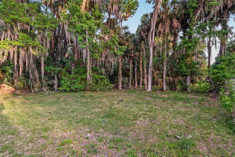 Tiny photo for 20361 1st Street, Mc Intosh, FL 32664 (MLS # GC539492)