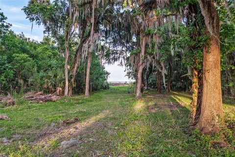 Tiny photo for 20361 1st Street, Mc Intosh, FL 32664 (MLS # GC539492)
