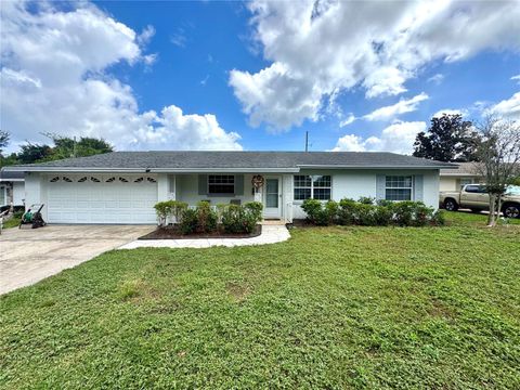 Photo of 903 Marscastle Avenue, Orlando, FL 32812 (MLS # O6353730)
