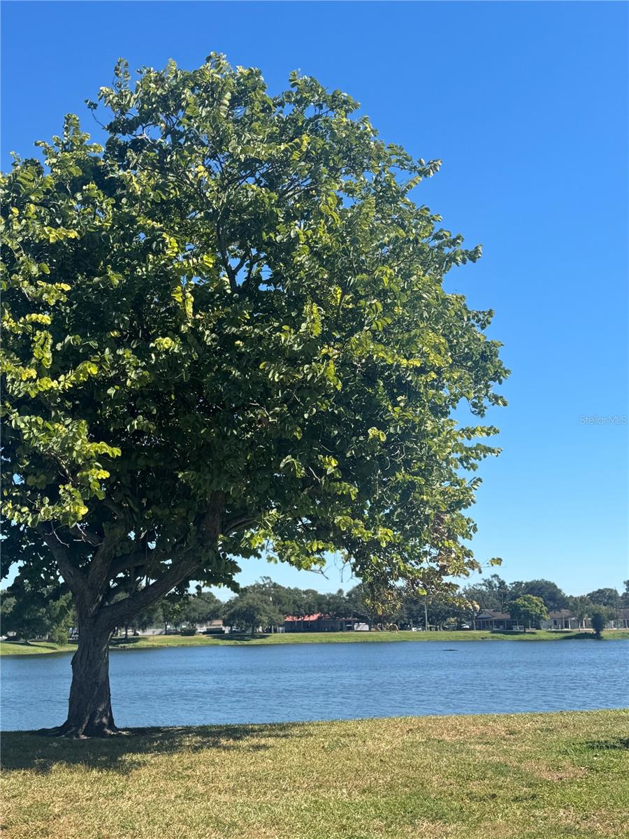 CORSONS BLK 4 REP - Residential