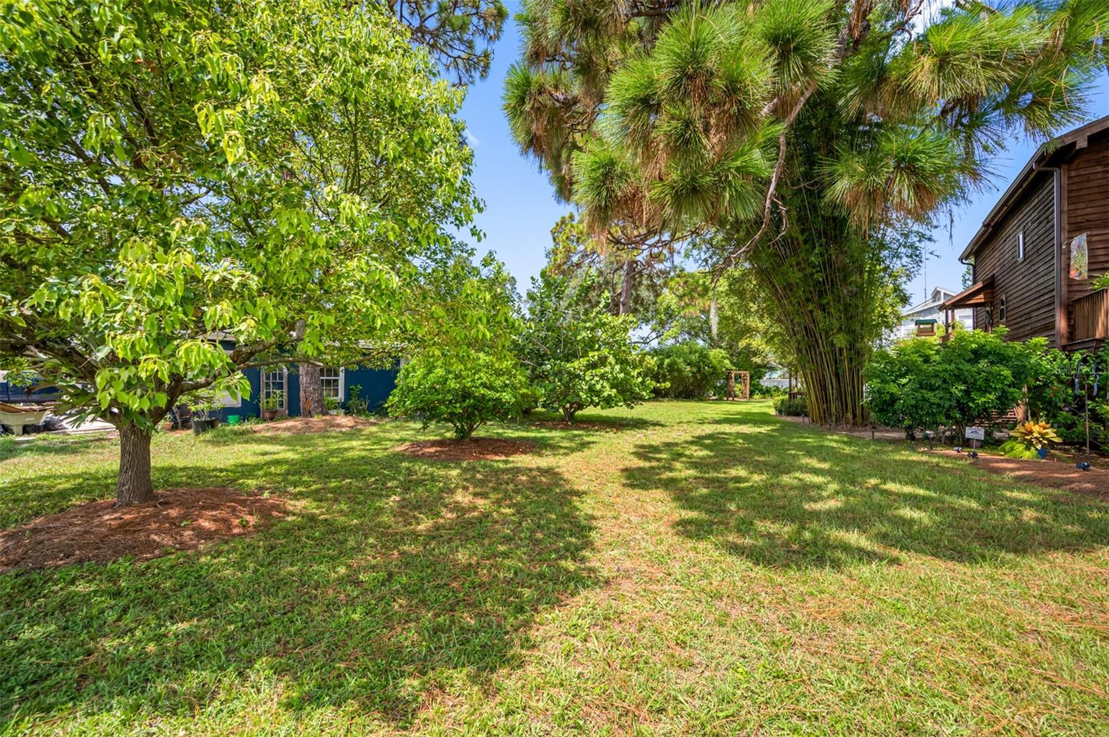 OLDSMAR REV MAP - Residential