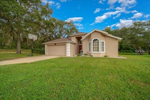 Photo of 4435 Lemon Street, Lady Lake, FL 32159 (MLS # O6349931) Photo of 4435 Lemon Street, Lady Lake, FL 32159 (MLS # O6349931)