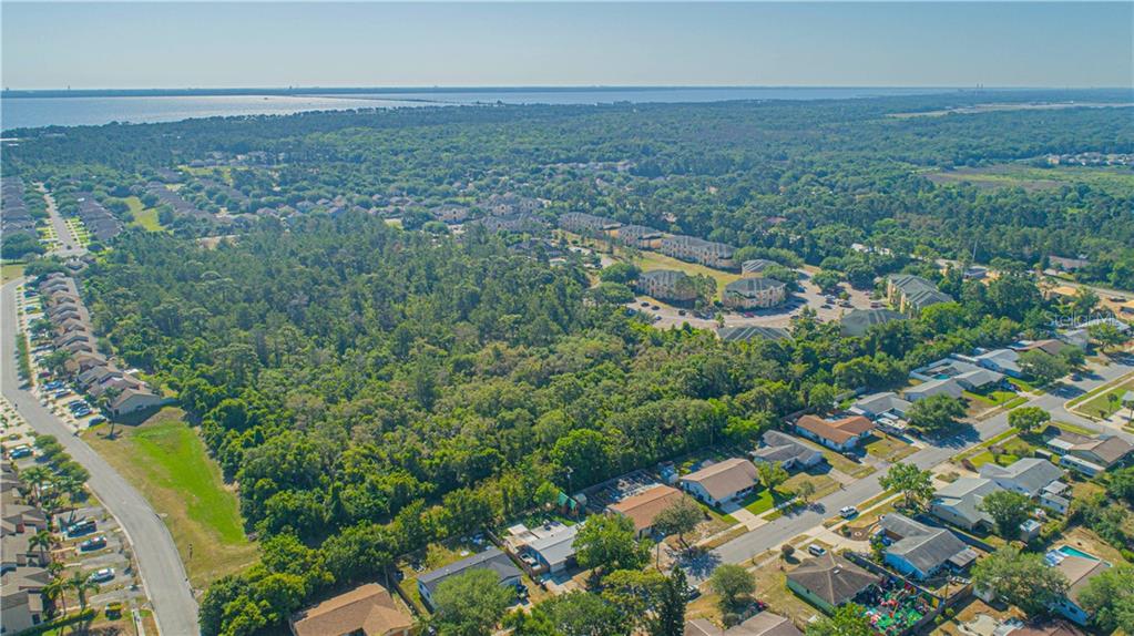 TITUSVILLE FRUIT & FARM LAND CO - Land