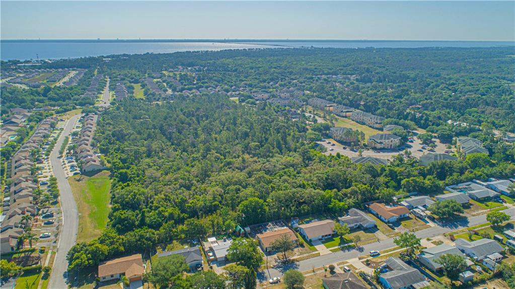 TITUSVILLE FRUIT & FARM LAND CO - Land