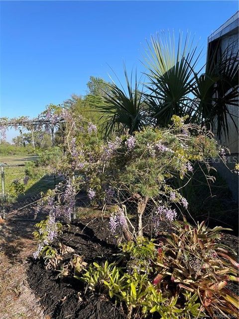 Tiny photo for 7533 E Applewood Drive, Inverness, FL 34450 (MLS # W7885608)