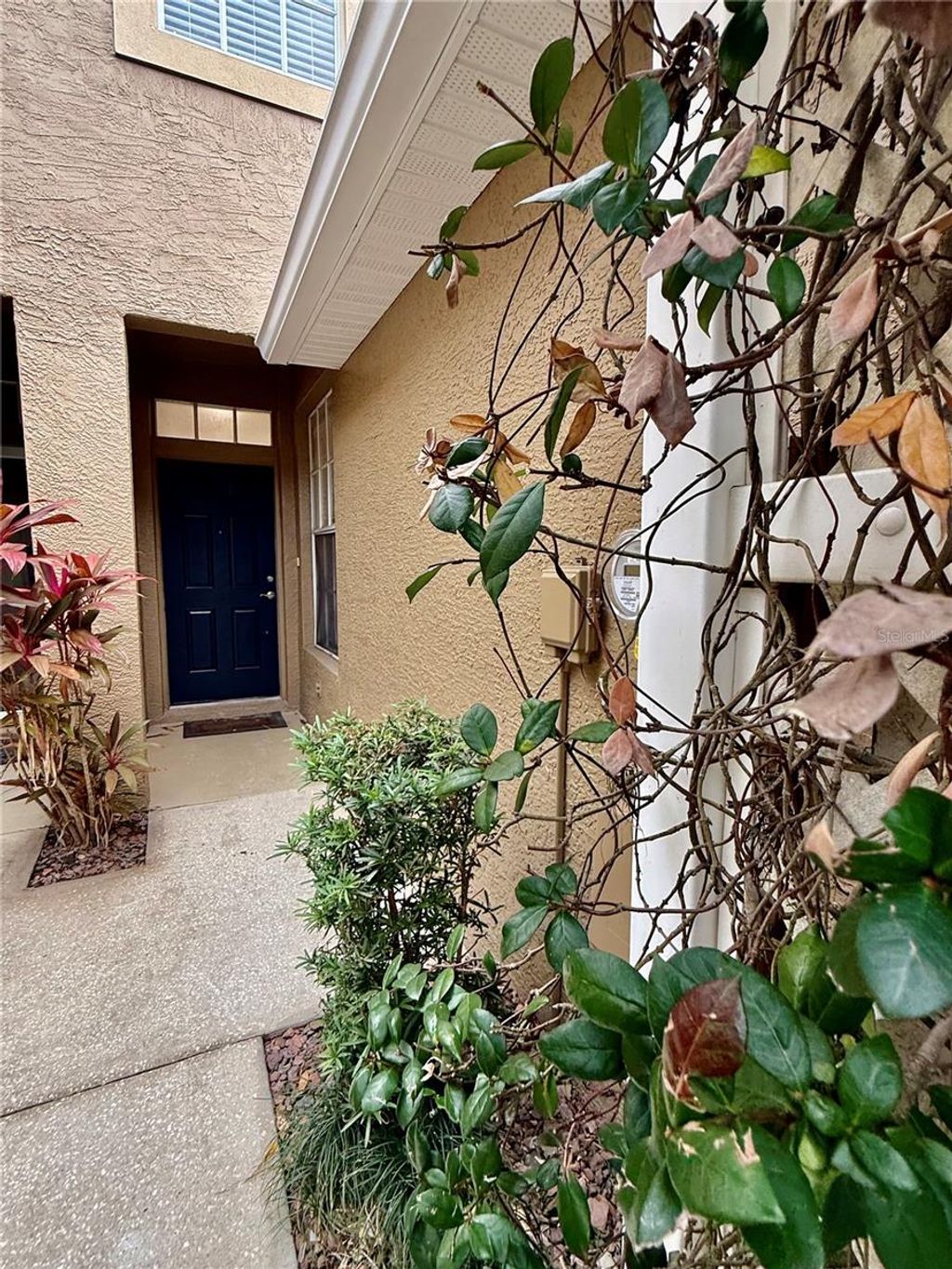 Photo of 18919 Duquesne Drive, Tampa, FL 33647 (MLS # TB8462186)