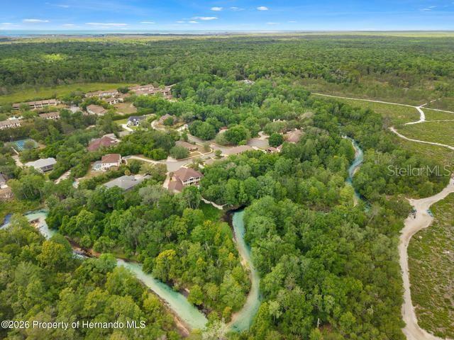 WATERS OF WEEKI WACHEE - Residential