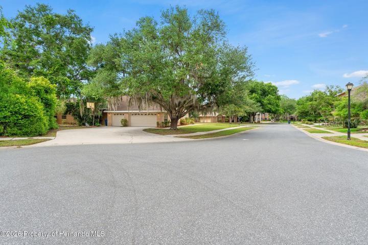 WATERS OF WEEKI WACHEE - Residential