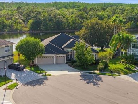 Photo of 6113 Cognac Circle, Lutz, FL 33558 (MLS # TB8500776)