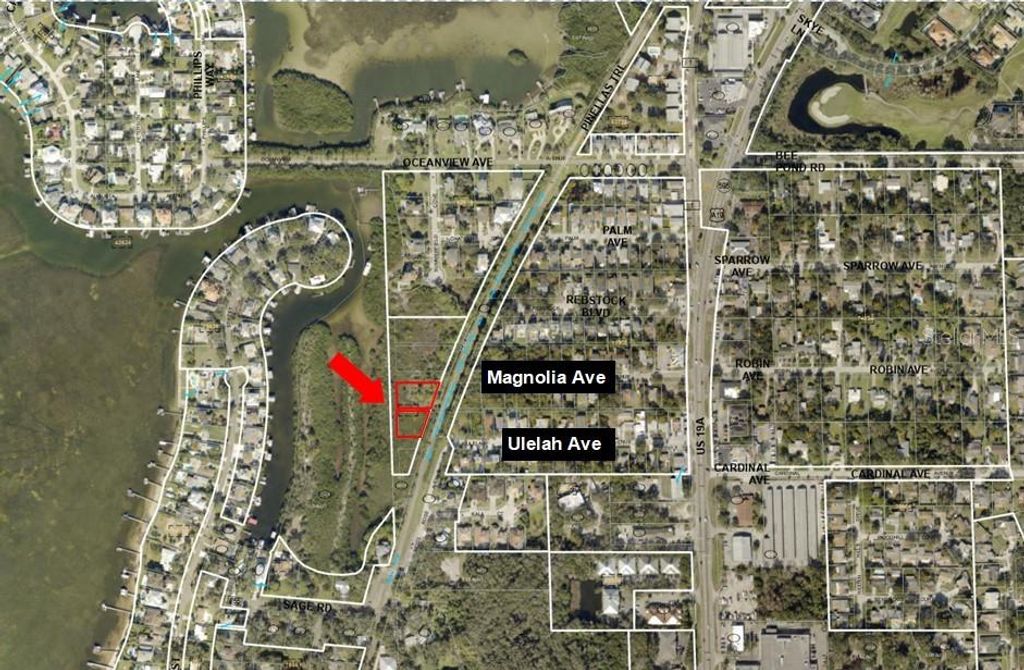 Photo of Magnolia Avenue, Palm Harbor, FL 34683 (MLS # TB8357690)