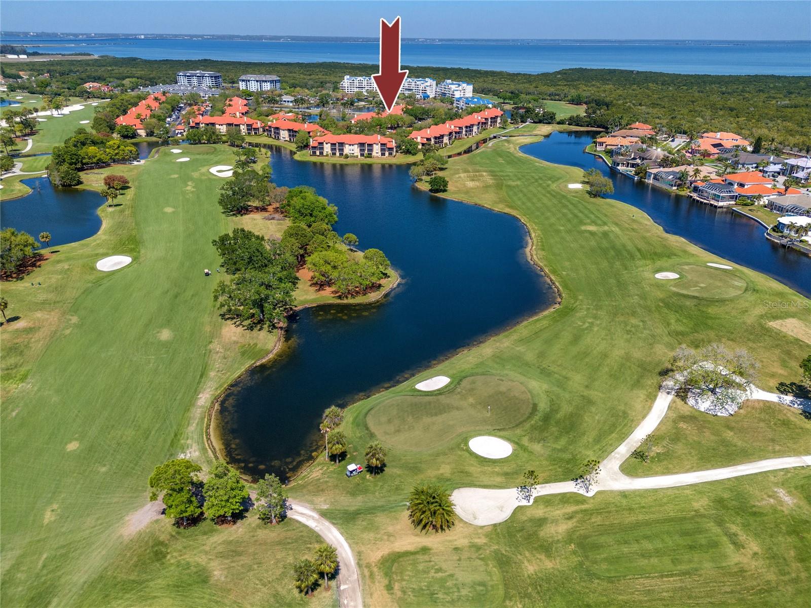 AUDUBON CONDO AT FEATHER SOUND - Residential