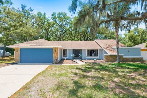 Photo of 8300 Annapolis Road, Spring Hill, FL 34606 (MLS # TB8501789)