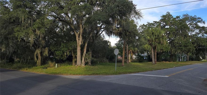 Vacant residential lot. Ready to build. No CDD or HOA fees. Located on Sanford Historic Districts map in the desirable George Town Residential District. Near to downtown and commercial district. One of few vacant corner lots available in this District.