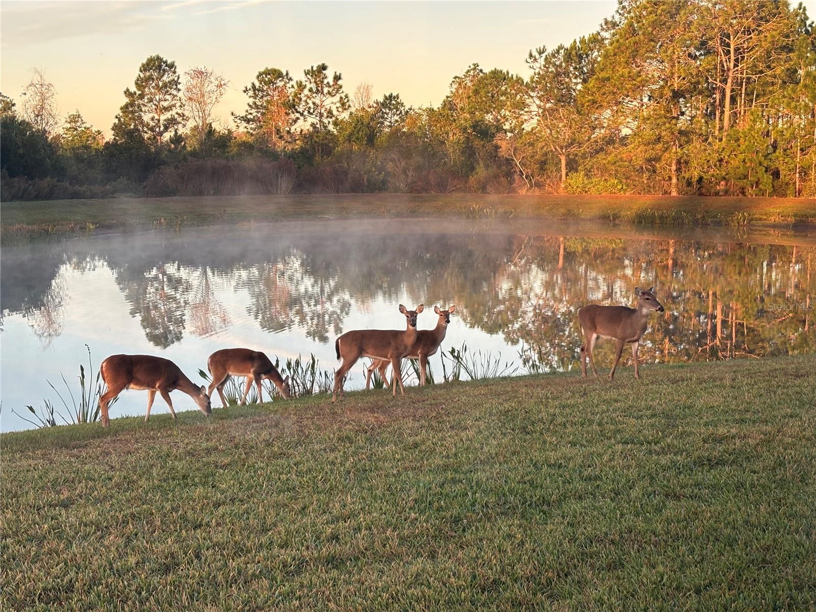 2825 PALM TREE DRIVE