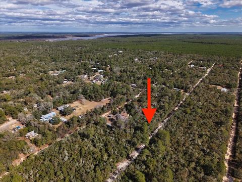 Photo of NE 233rd Lane, Fort Mccoy, FL 32134 (MLS # O6367388)