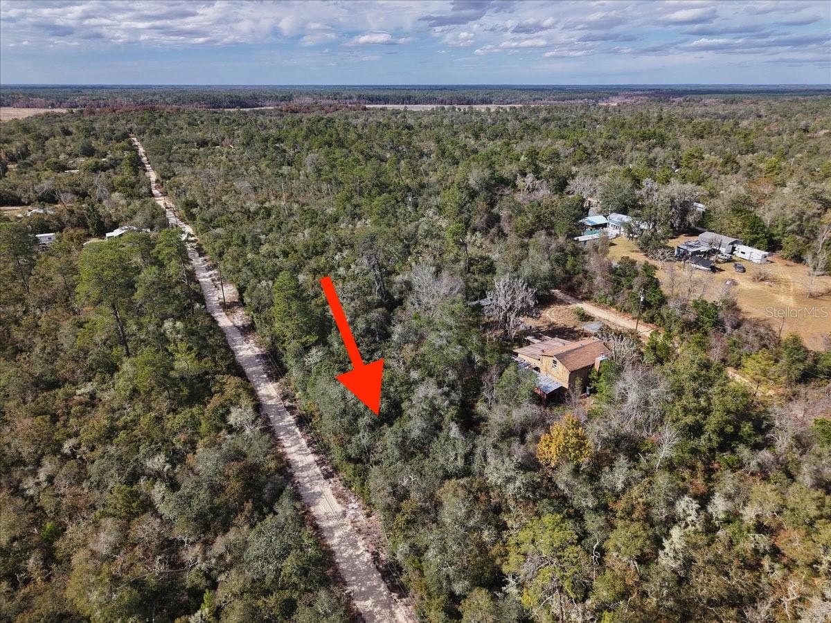 OCALA NATIONAL FOREST CAMPSITES - Land