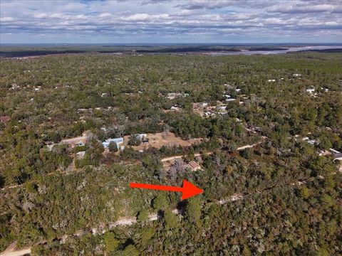Tiny photo for NE 233rd Lane, Fort Mccoy, FL 32134 (MLS # O6367388)